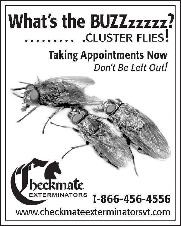 clusterflies